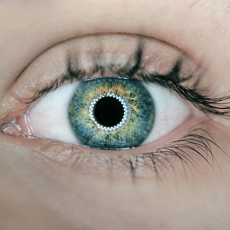 Atteindre le sommet de la finance : Stratégies d'investissement avancées